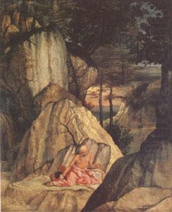 Lorenzo Lotto Jerome in the Desert (mk05) china oil painting image